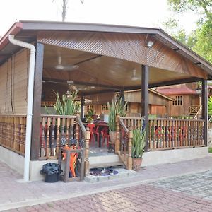 Borneo Tree House